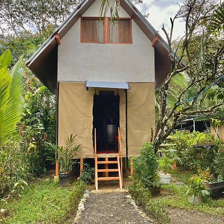 Cabana Equipada Puerto Jimenez Exterior photo